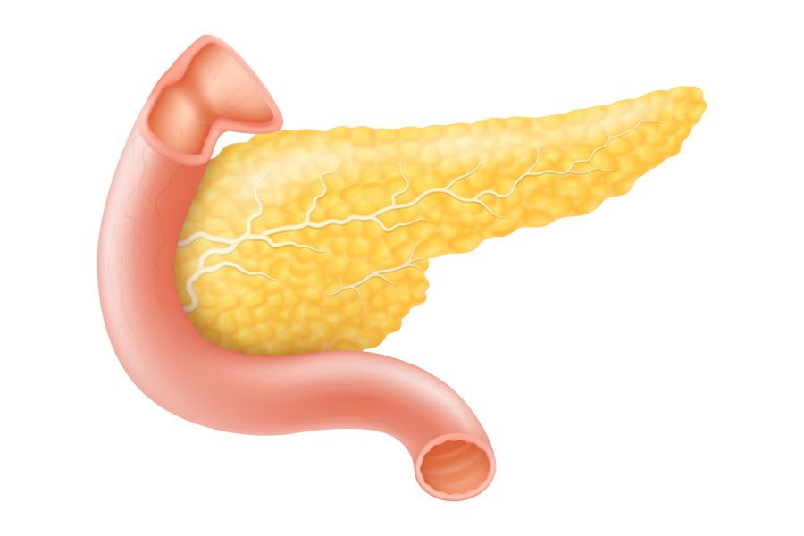 Pancreas Health